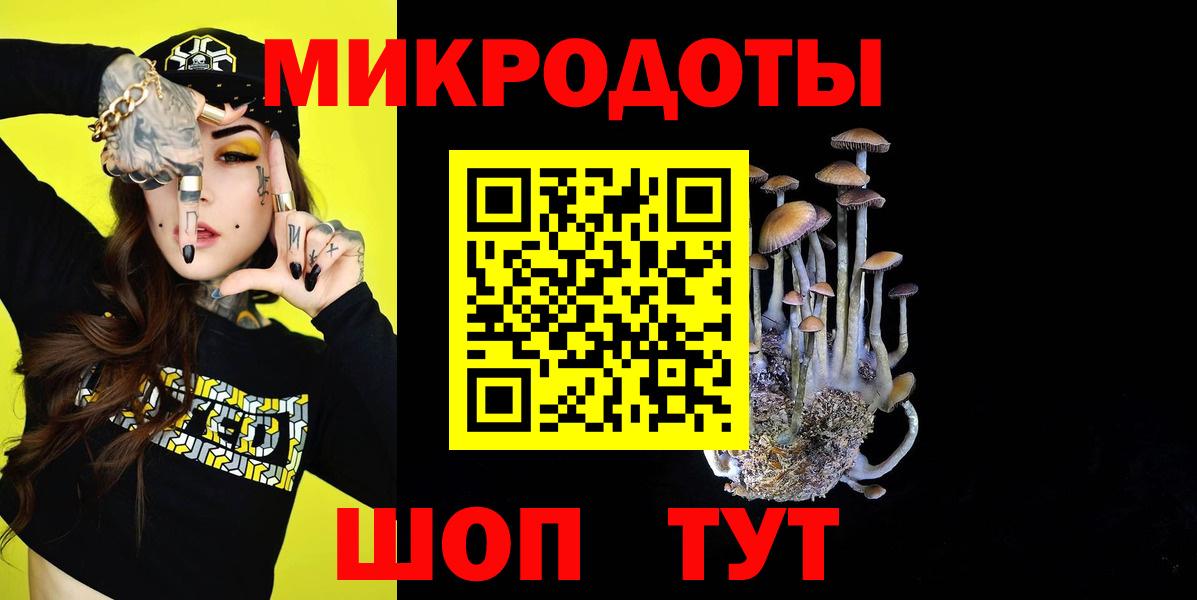 Псилоцибиновые грибы GOLDEN TEACHER Новороссийск