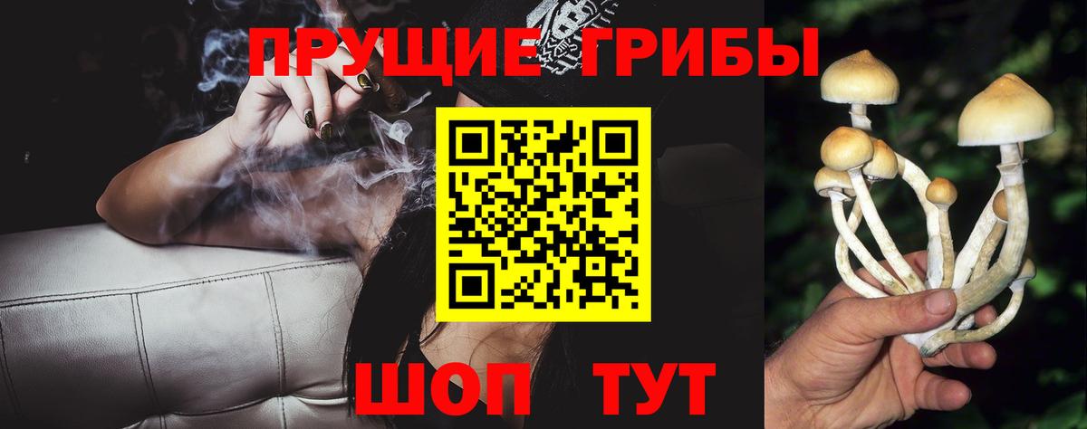 Новороссийск  Галлюциногенные грибы прущие грибы  Вход с VPN 